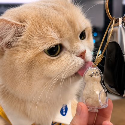 Fur Keepsake™ – Keychain with Your Cat's Real Fur