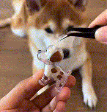 Fur Keepsake™ – Keychain with Your Dog's Real Fur